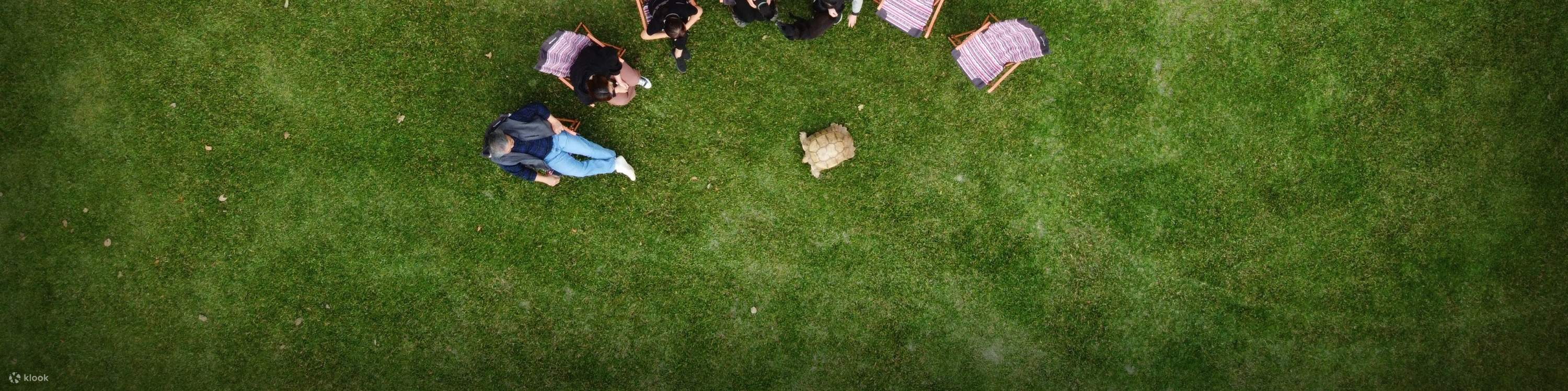Golden Rice Terraces